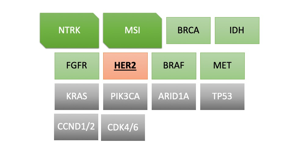 Navigating a "target-rich" disease with liquid biopsies