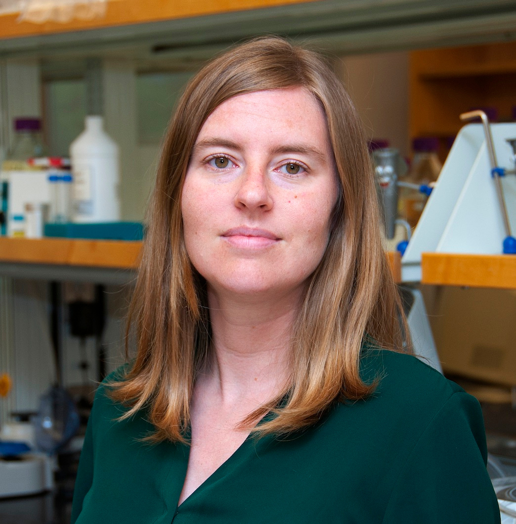 Go to the profile of Christina Warinner