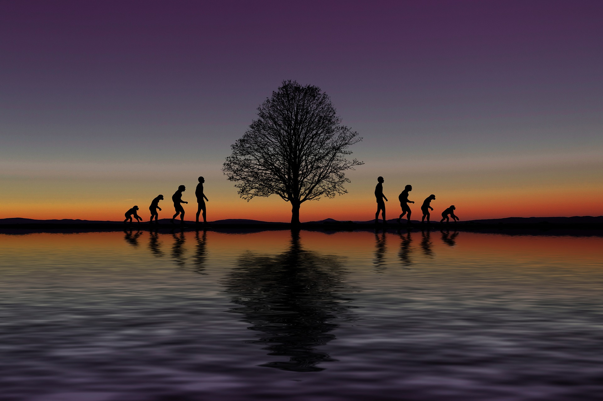 Teaching in evolution