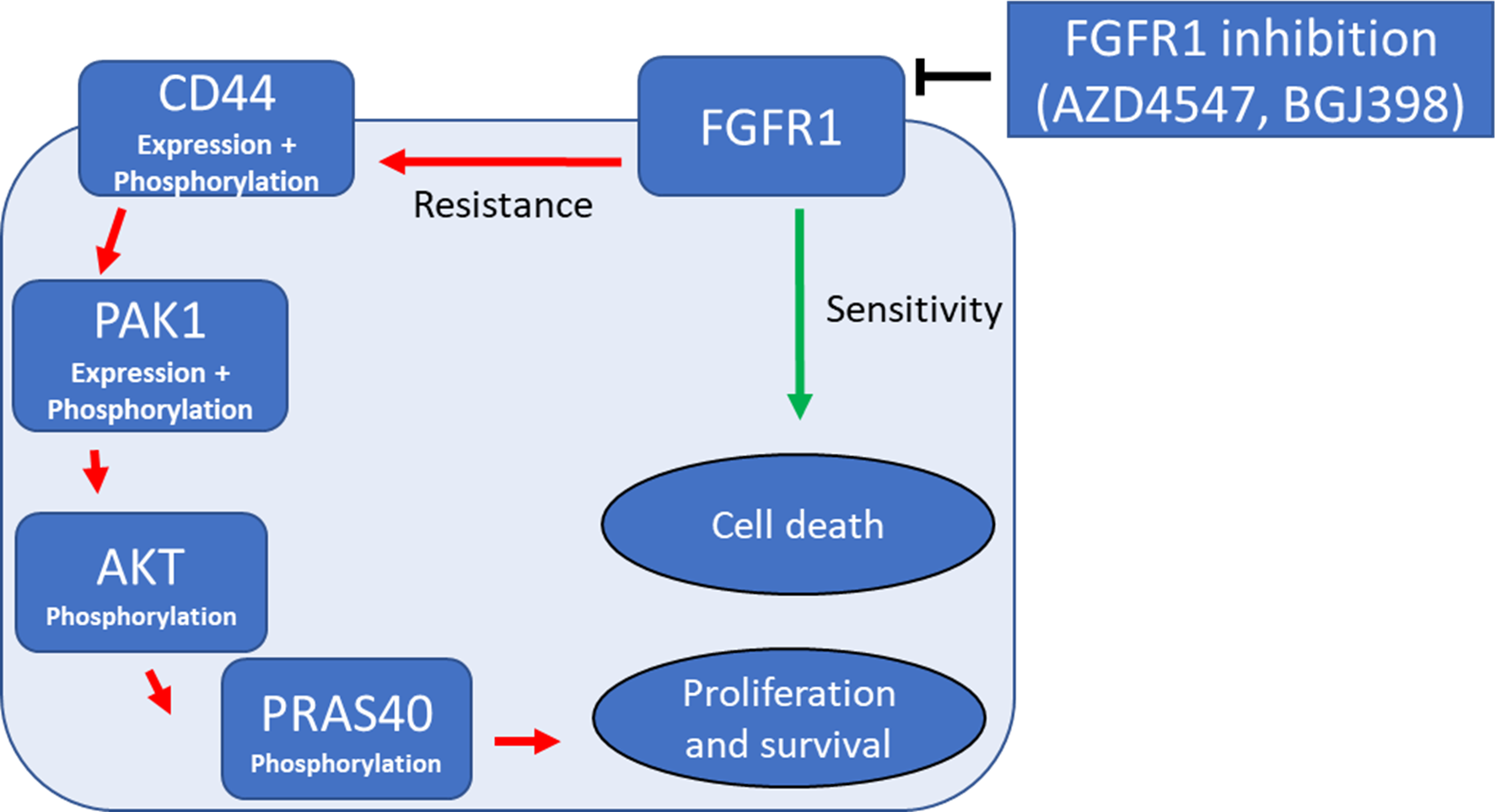 Discovery of new resistance pathway in Lung Cancer through comprehensive Phospho-proteomic analysis