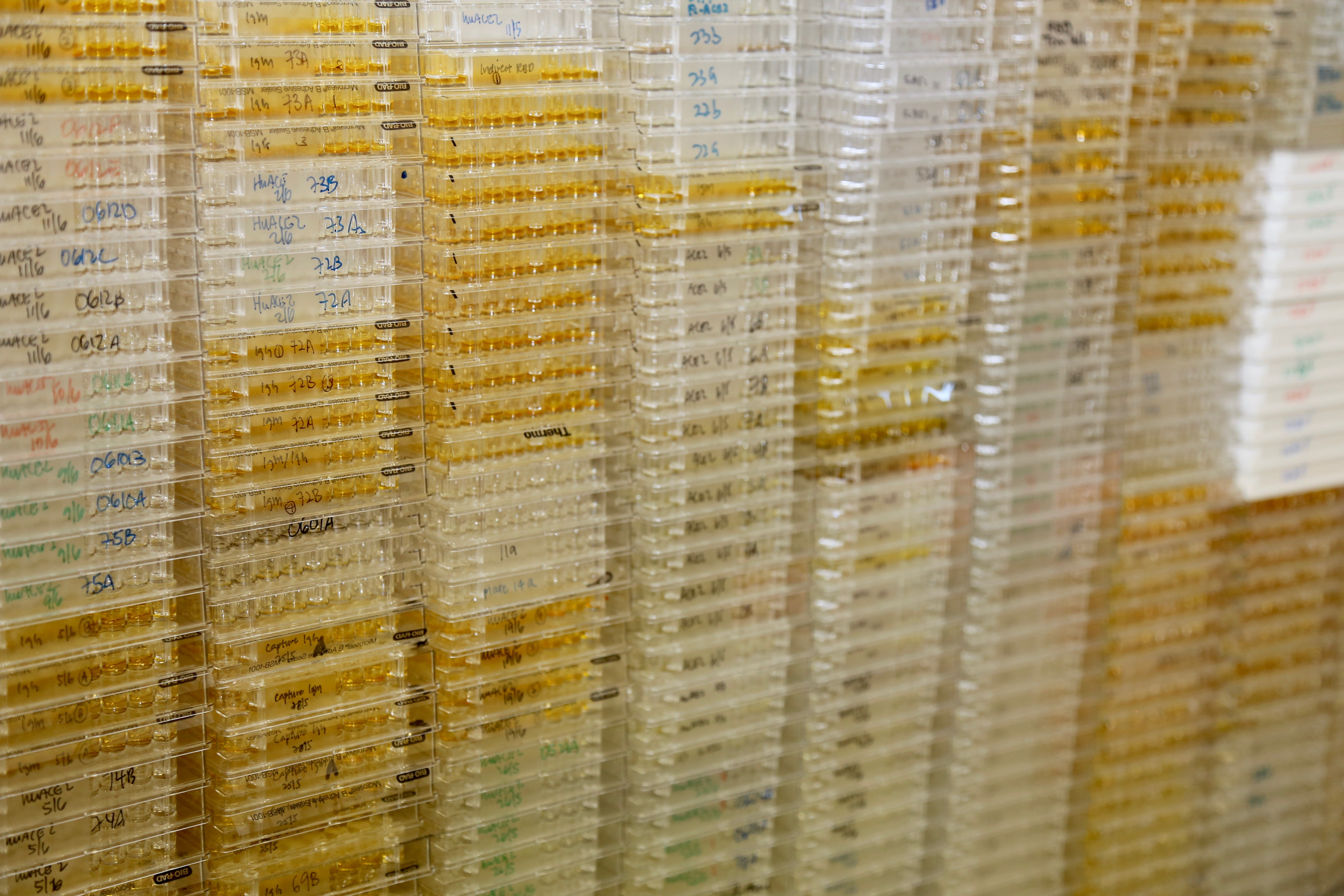 Out of the BSL3 “Jail”: Simplifying SARS-CoV-2 virus neutralization tests