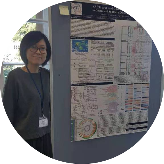 Go to the profile of YING SUN