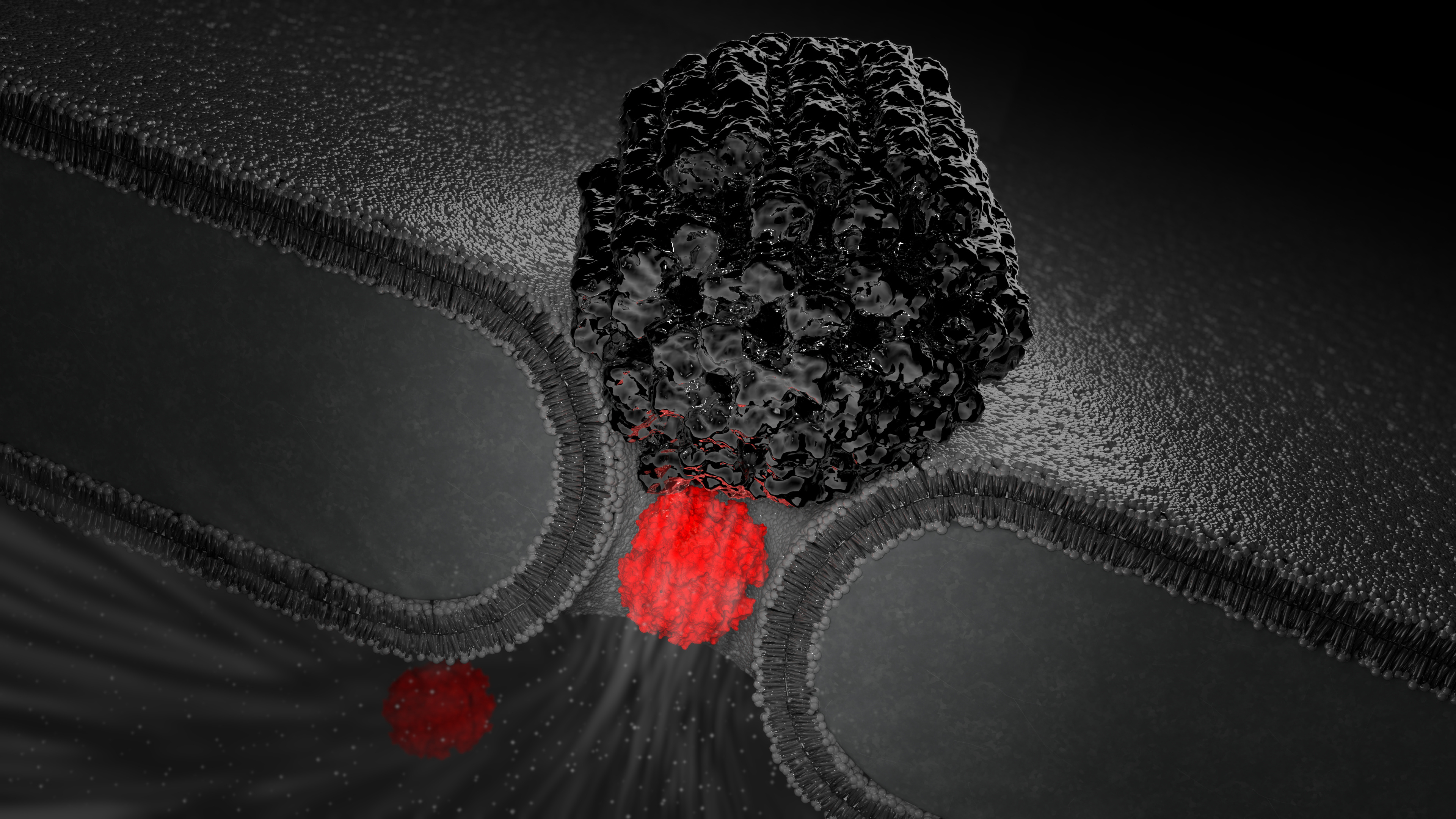 My personal road to the NEOtrap – a long-term dream of better time-resolved protein nanodynamics.