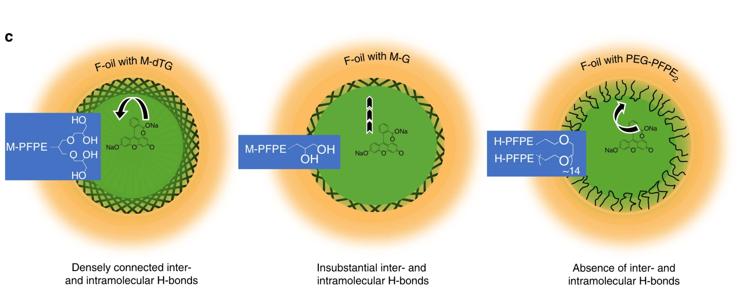 Micropatterned microfluidics: dendronized fluorosurfactants for highly stable emulsions  