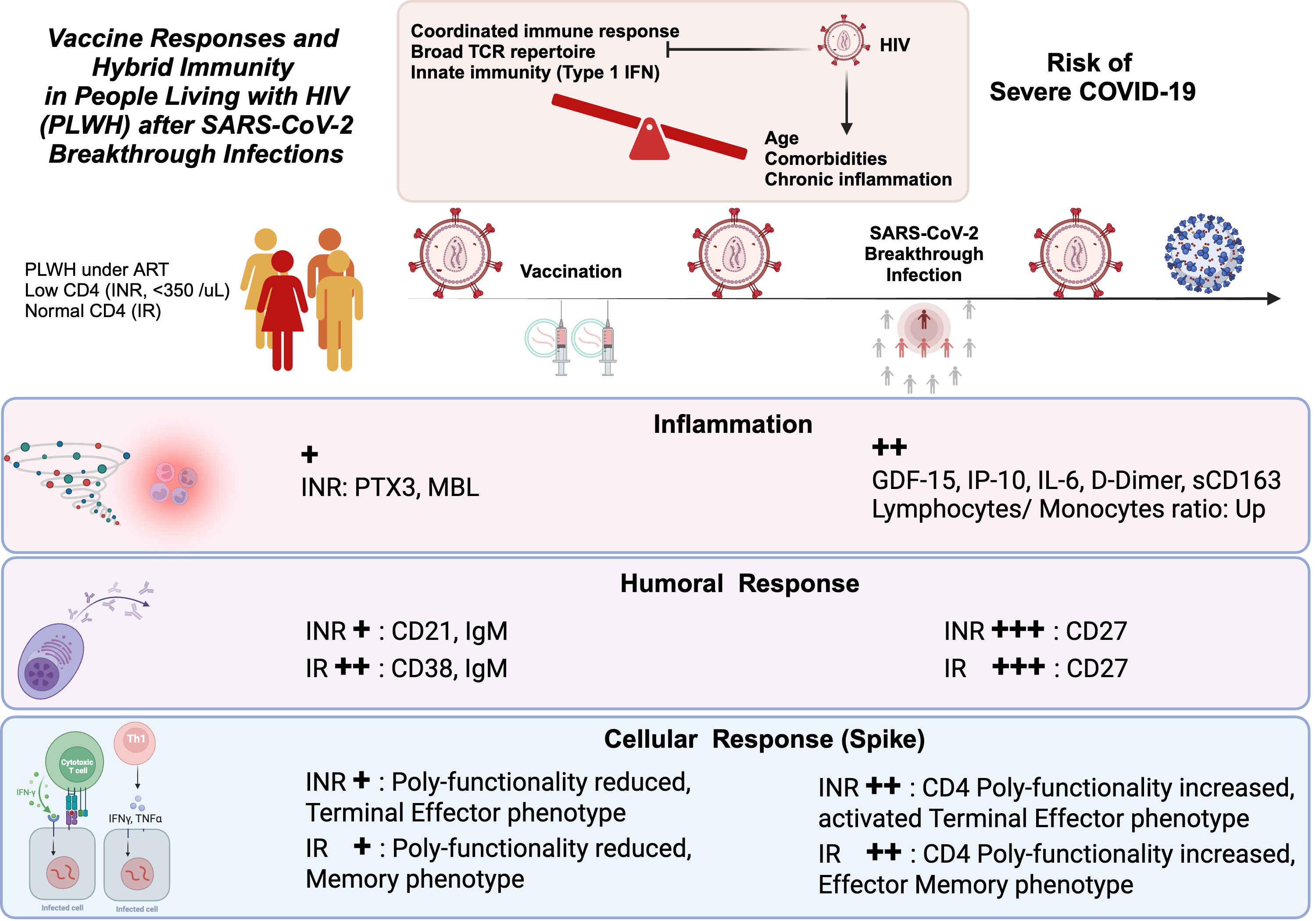 HIV & SARS-CoV-2 Hybrid Immunity