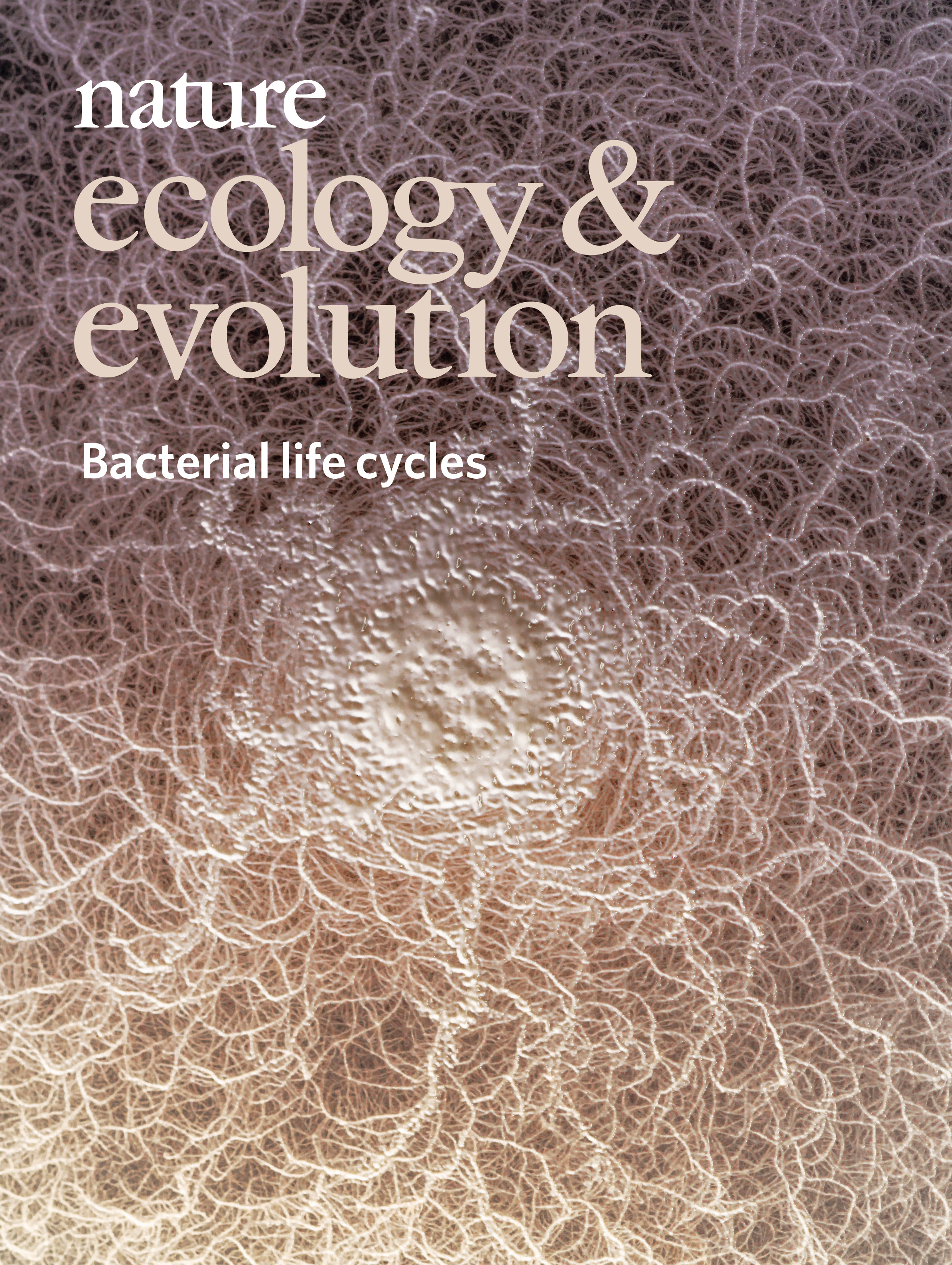 Gallery | August 2019 cover