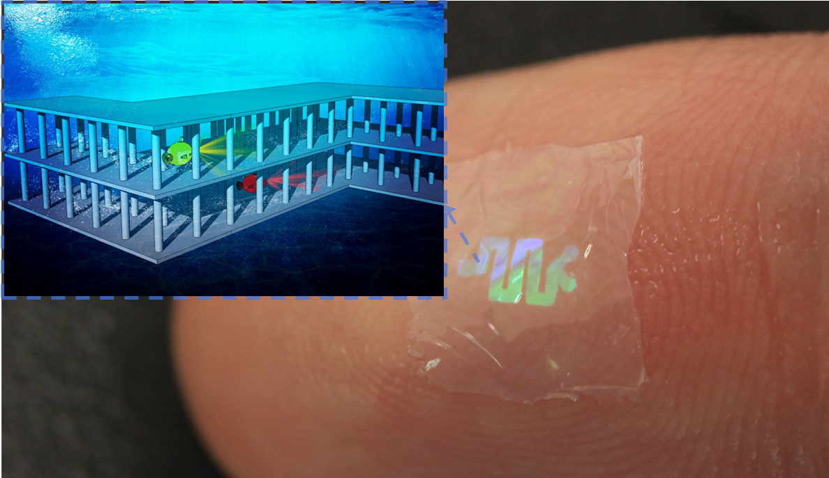 Organized Microfibrillation As A New Platform for Printing Microfluidic Devices