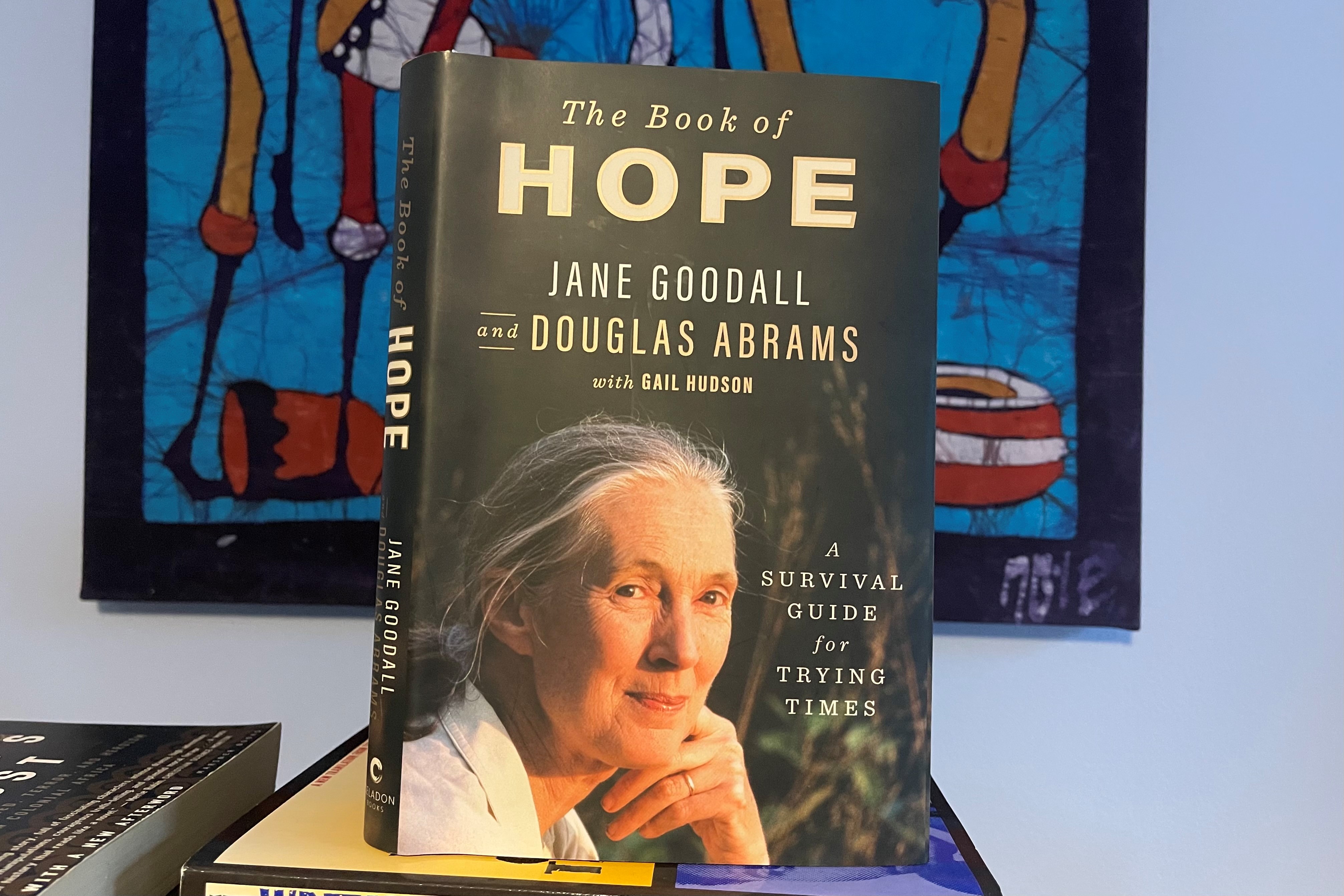 Holding on to hope in a troubled world