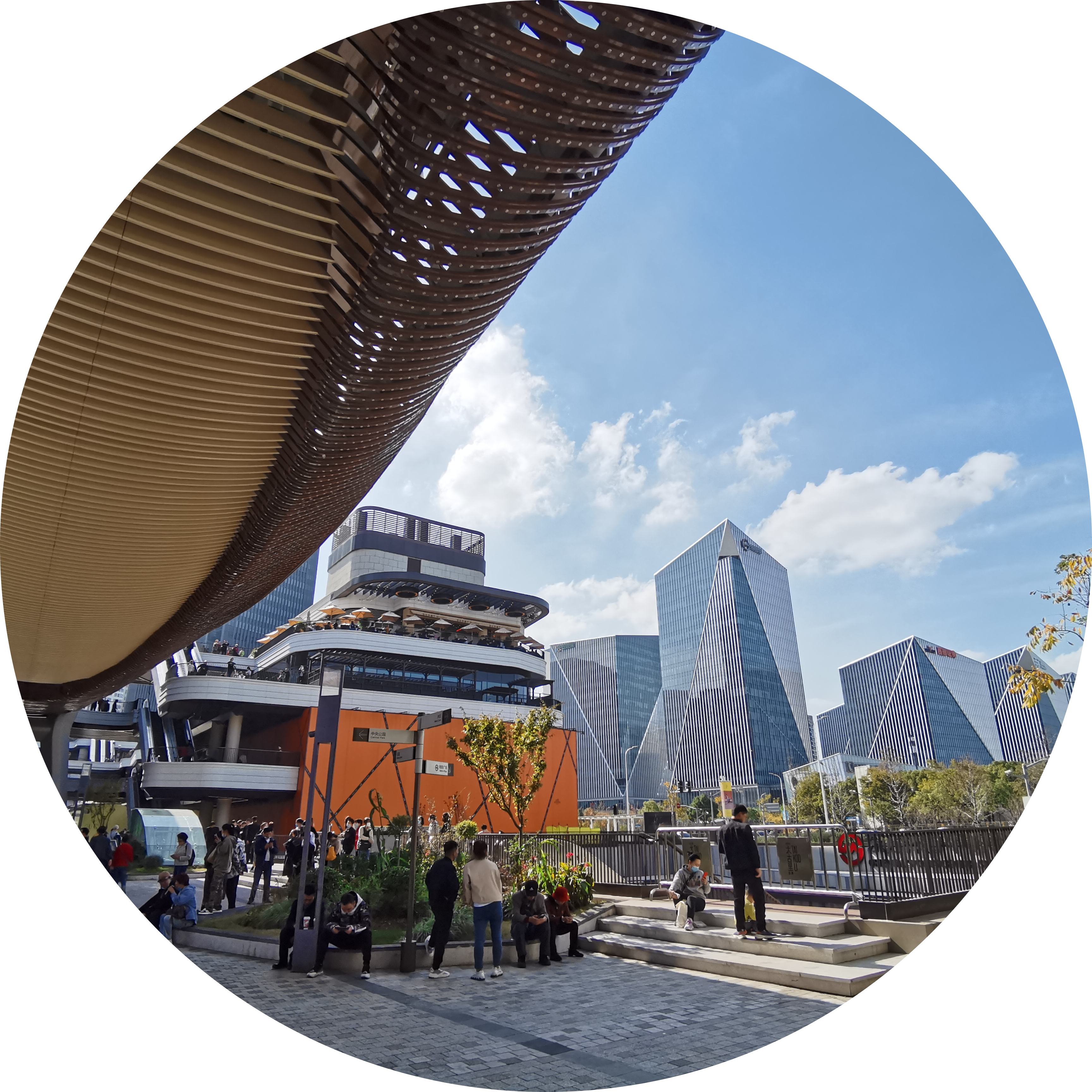 Go to the profile of Ningning Liu