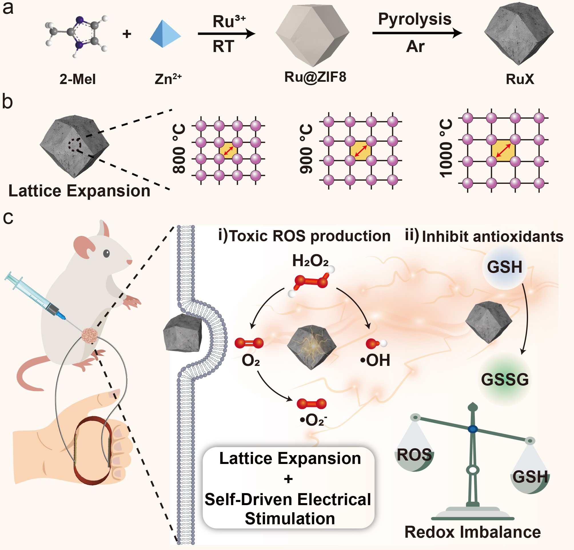 Lattice expansion as a new strategy for improving catalytic activity and electro-responsiveness of nanozymes 