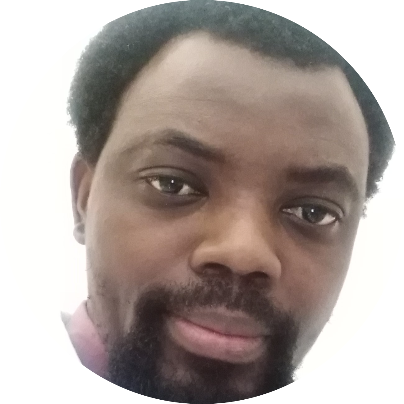 Go to the profile of Kamoru A. Adedokun