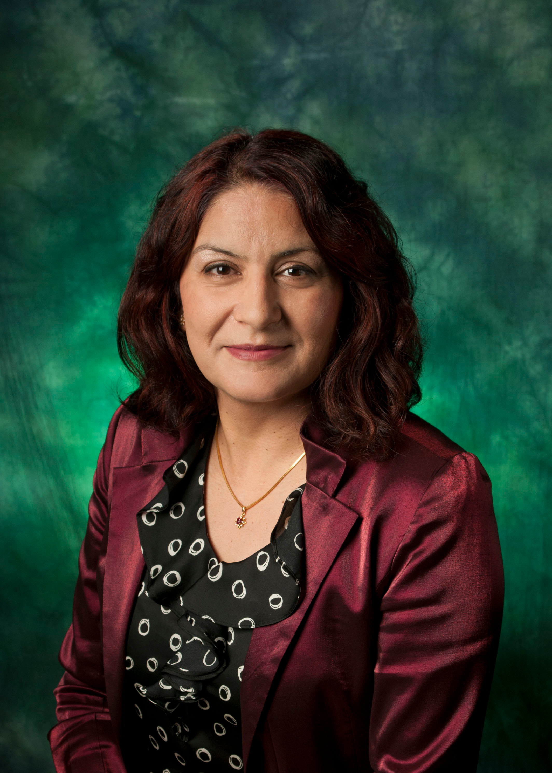 Go to the profile of Anupama B Kaul