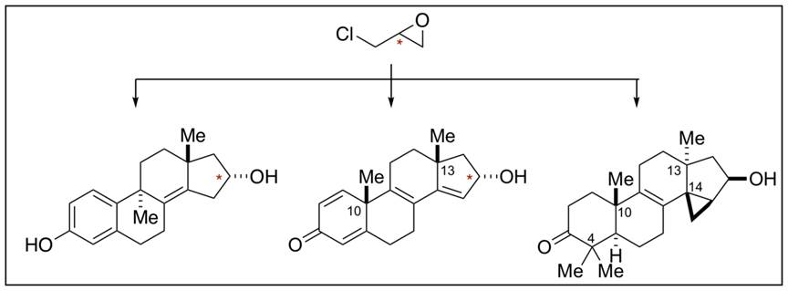 A Synthesis Strategy for Tetracyclic Terpenoids Leads to Agonists of the Estrogen Receptor Beta