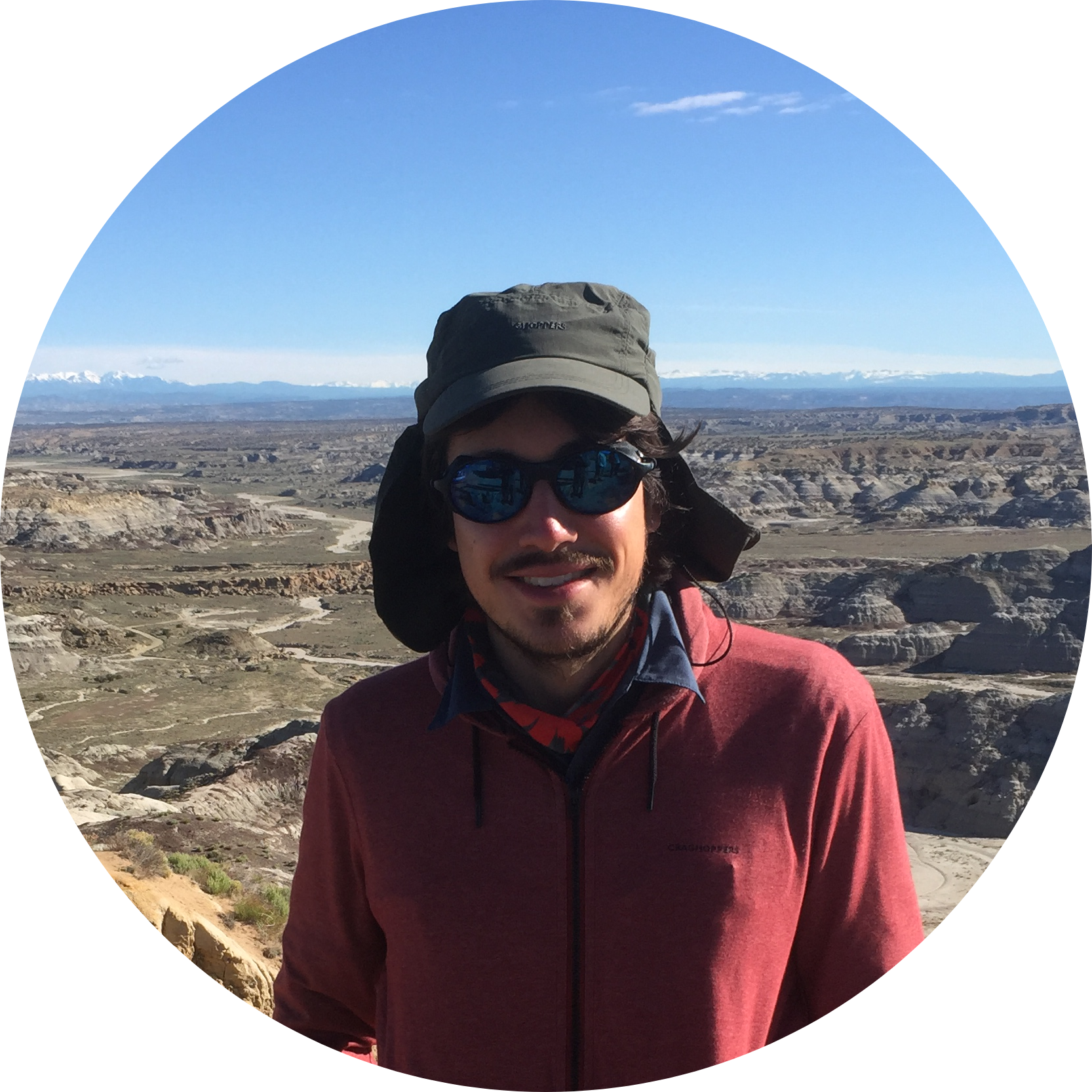 Go to the profile of Hans P. Püschel