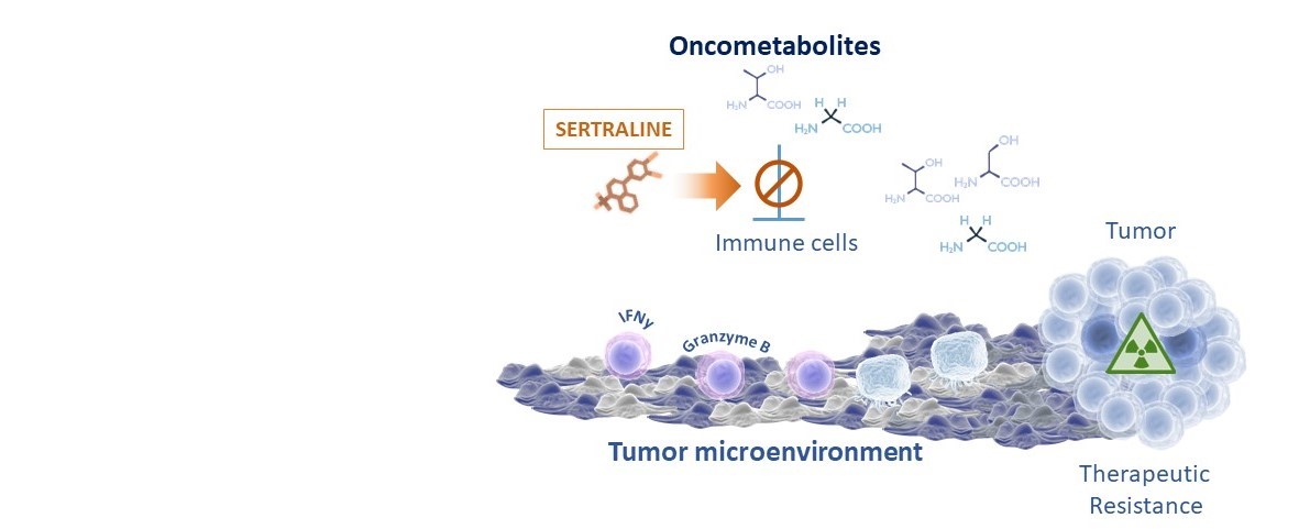 Targeting serine/glycine metabolism improves radiotherapy response in Non-Small Cell Lung Cancer