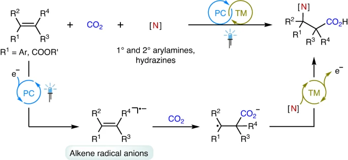Metallaphotoredox-enabled aminocarboxylation of alkenes with CO2