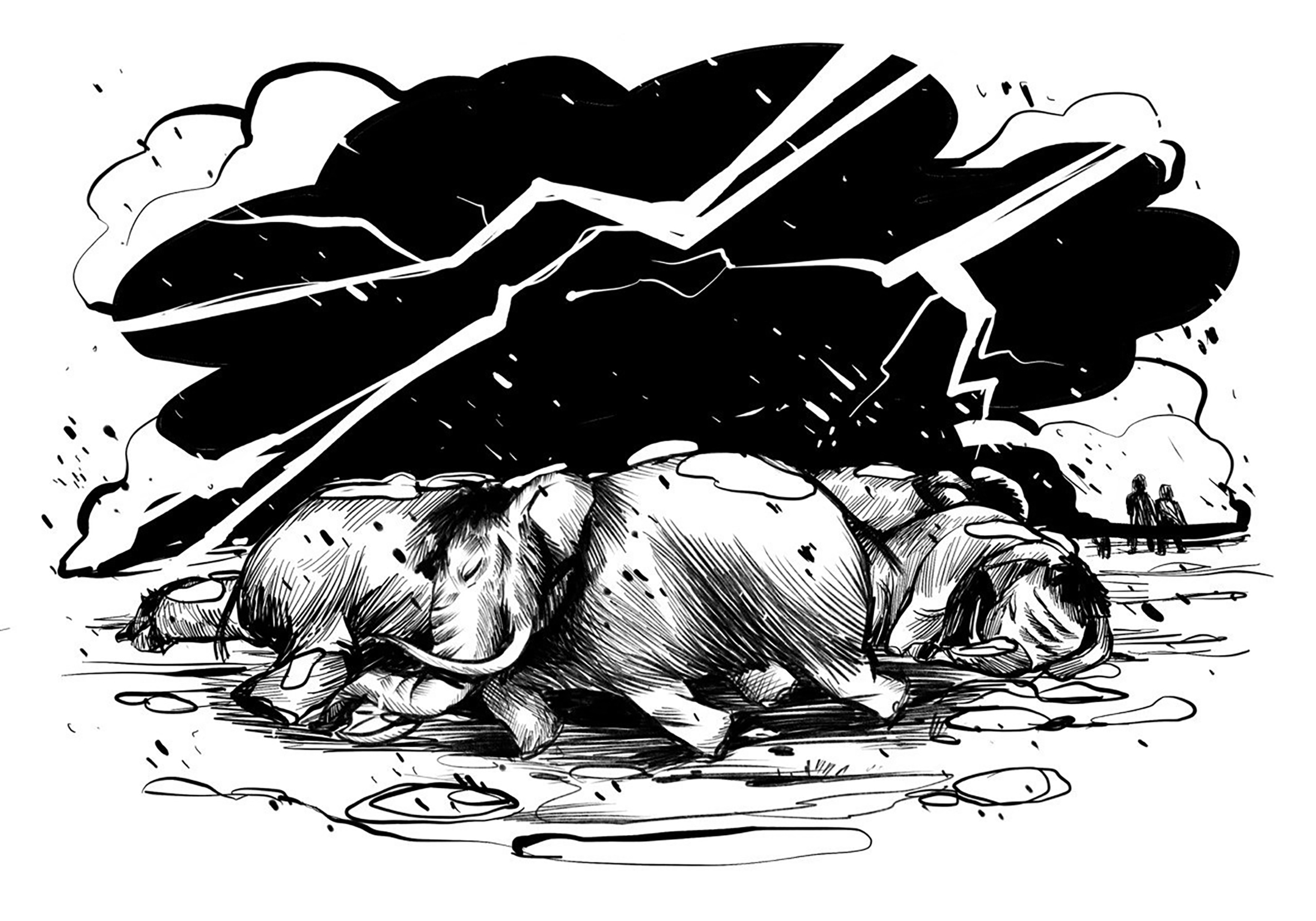 Did climate change drive the extinction of North America’s megafauna?