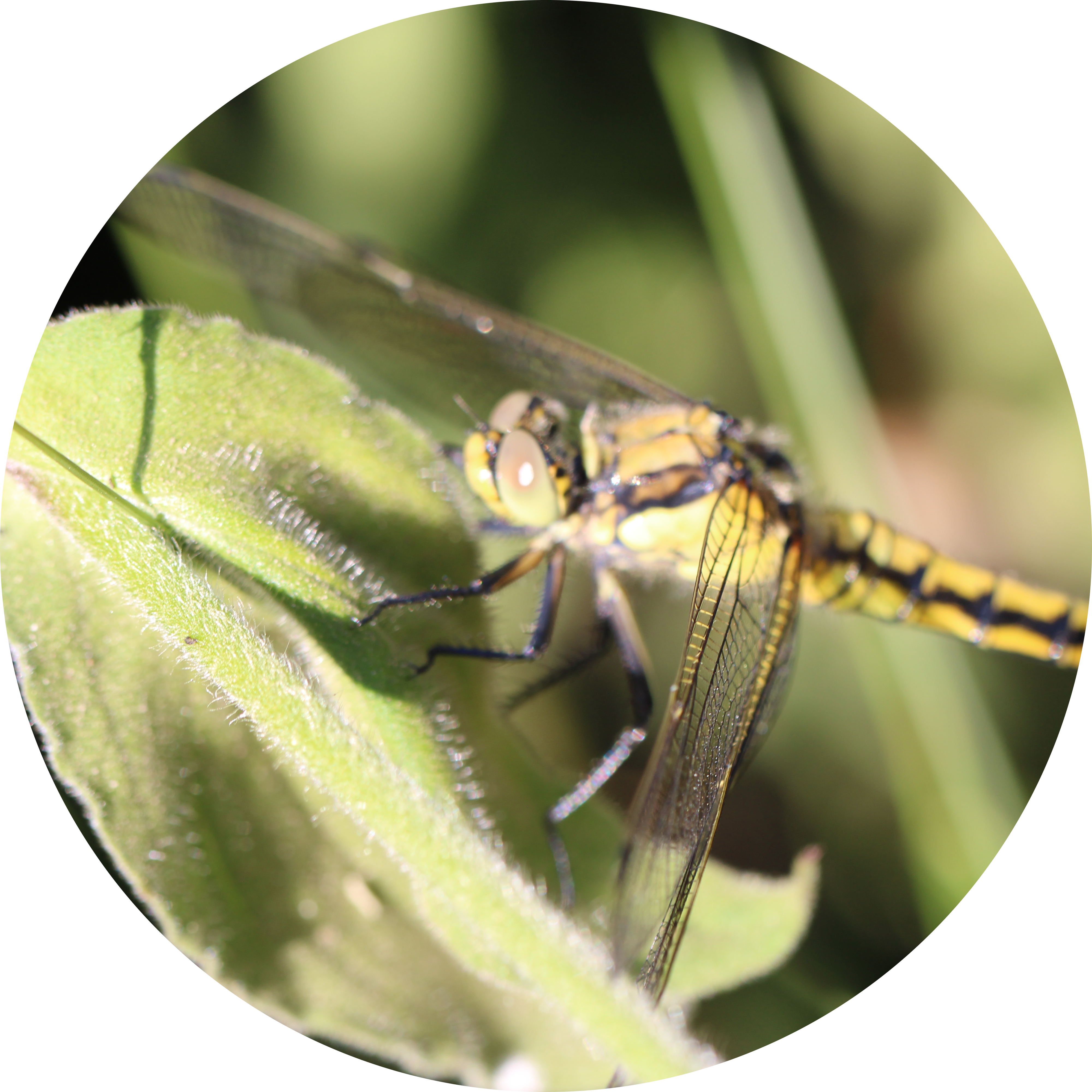 Go to the profile of Jon Hale