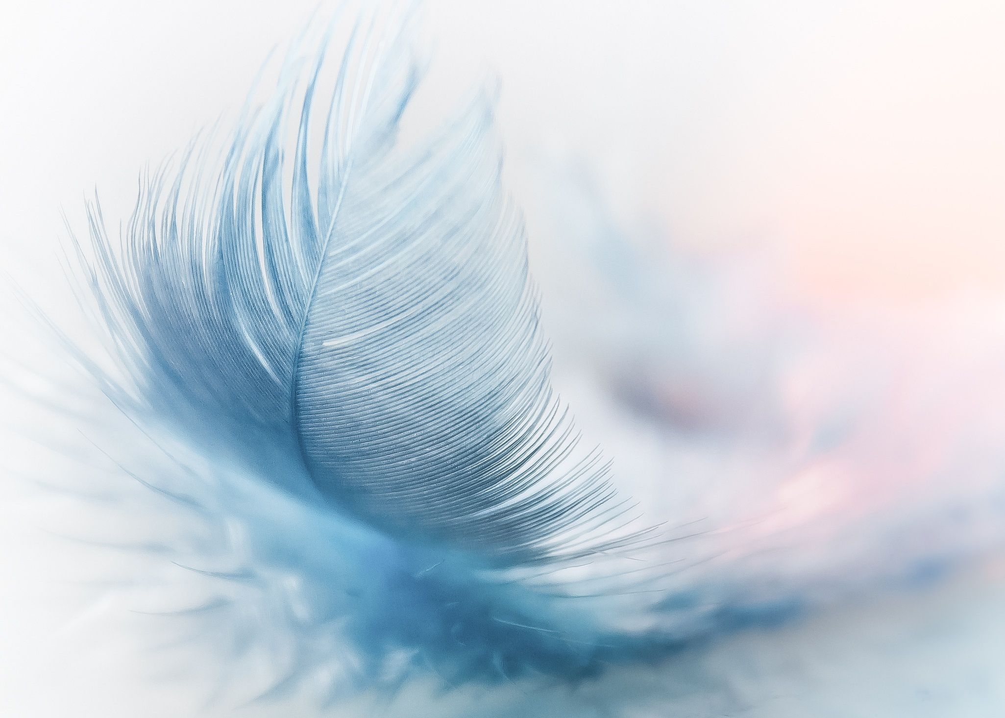 Journal Club | e-skin ruffled by a feather
