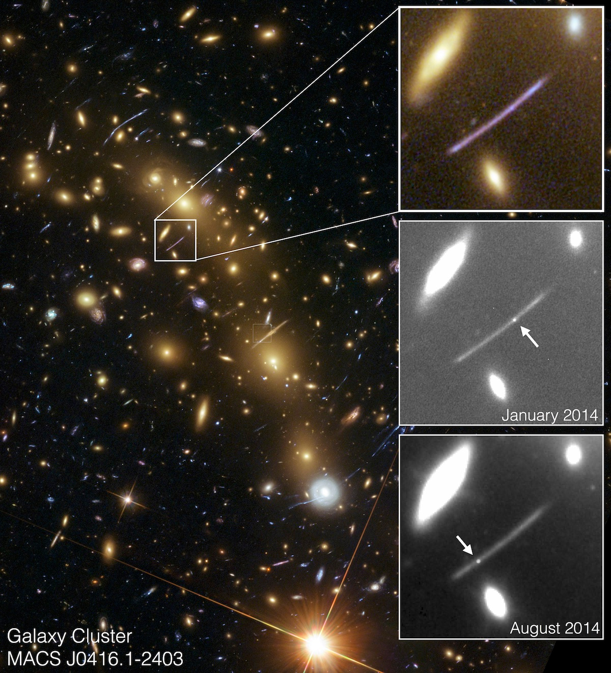 "These are not the supernovae you are looking for."