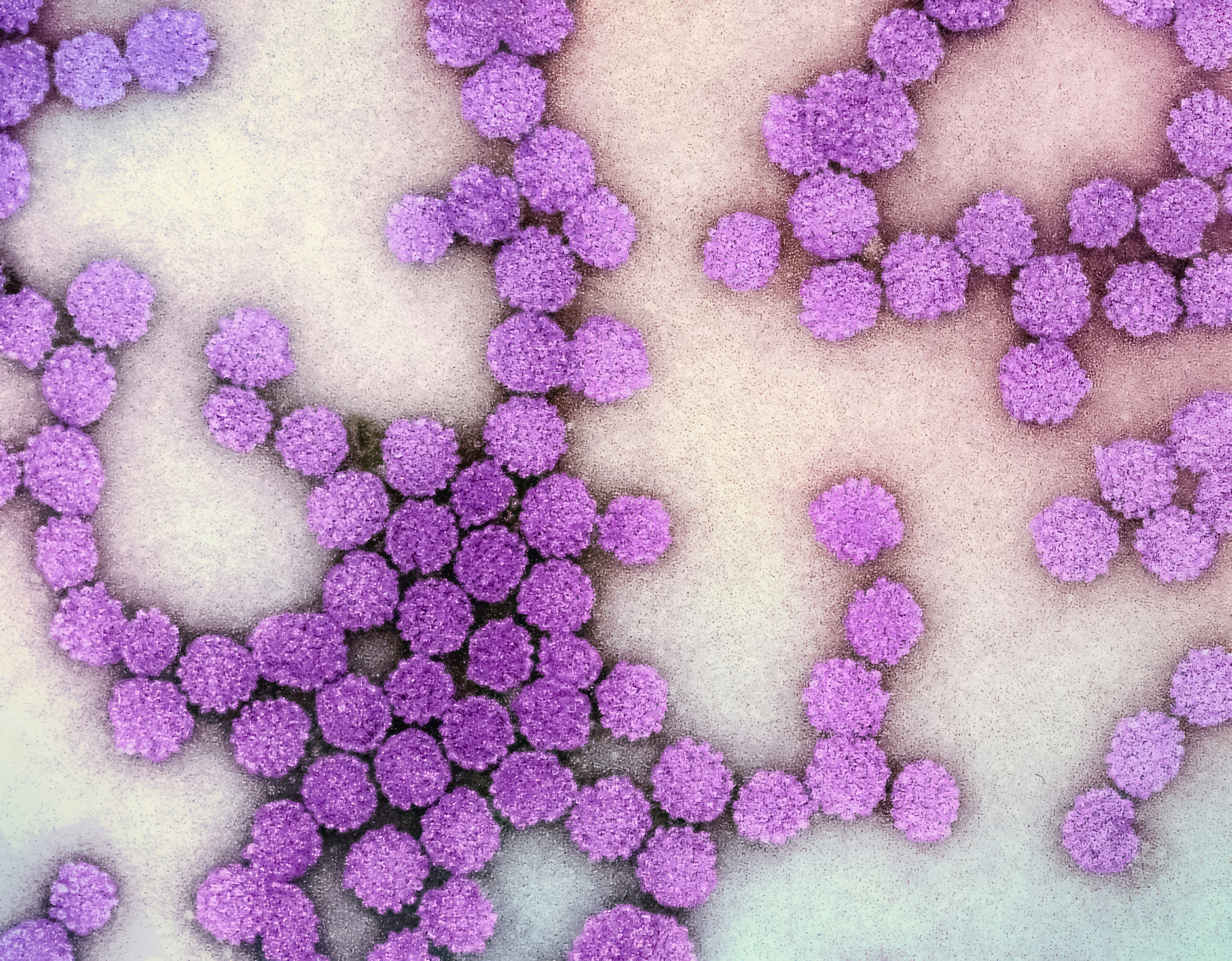 October and November Highlights from the Medicine and Life Sciences Research Communities 