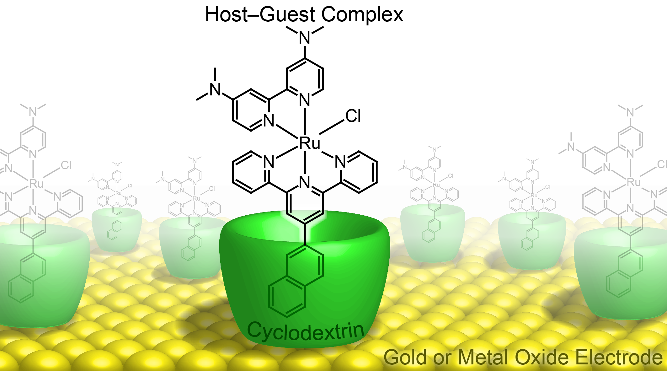 Immobilization of molecular catalysts on electrode surfaces using host–guest interactions