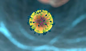 Nature Outlook - Cancer Immunotherapy
