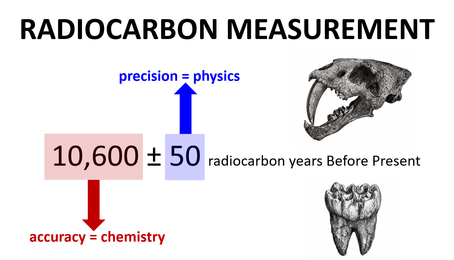 Uncovering unpublished radiocarbon data from Late Quaternary megafauna fossils