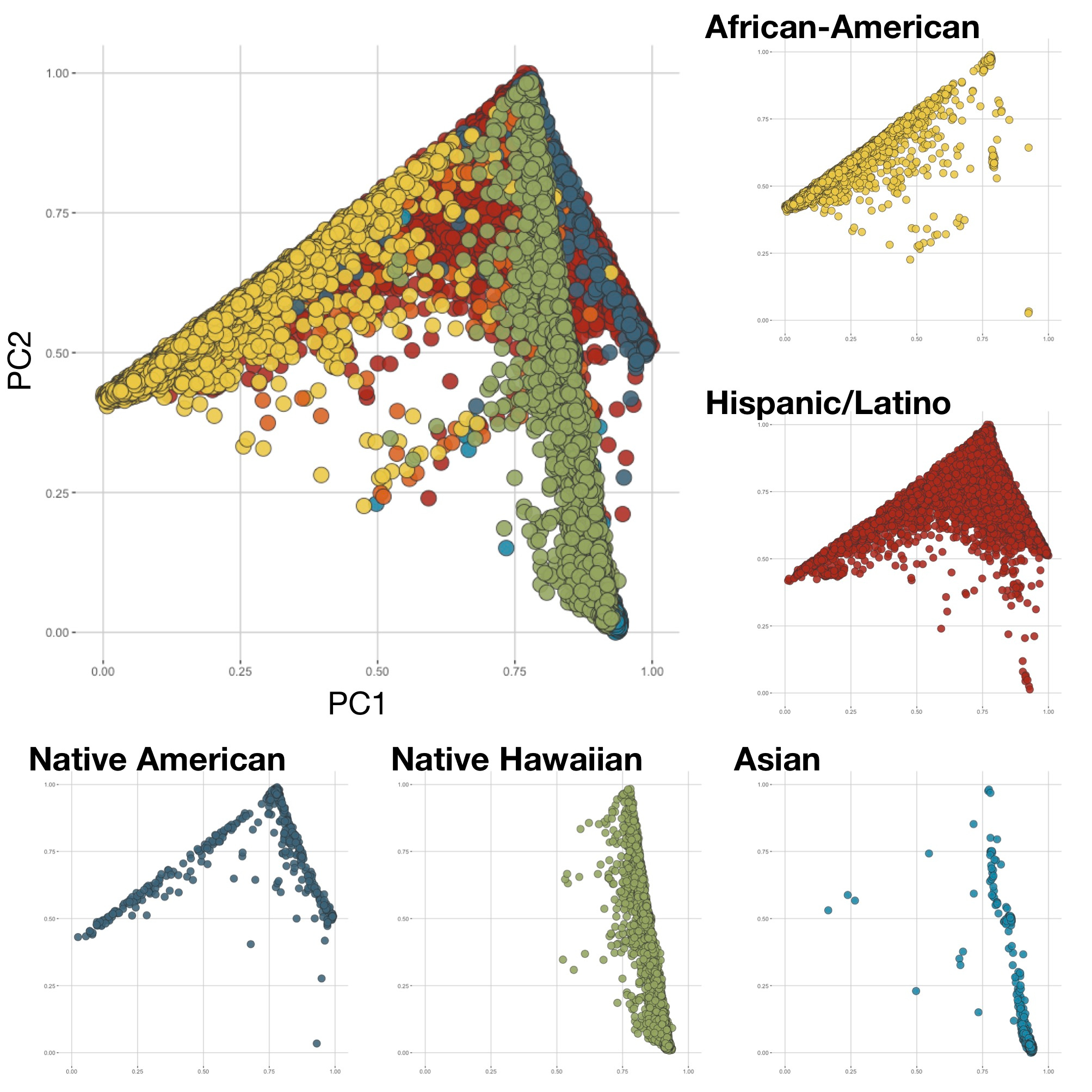 Genetic analysis of diverse populations improves discovery for complex traits.