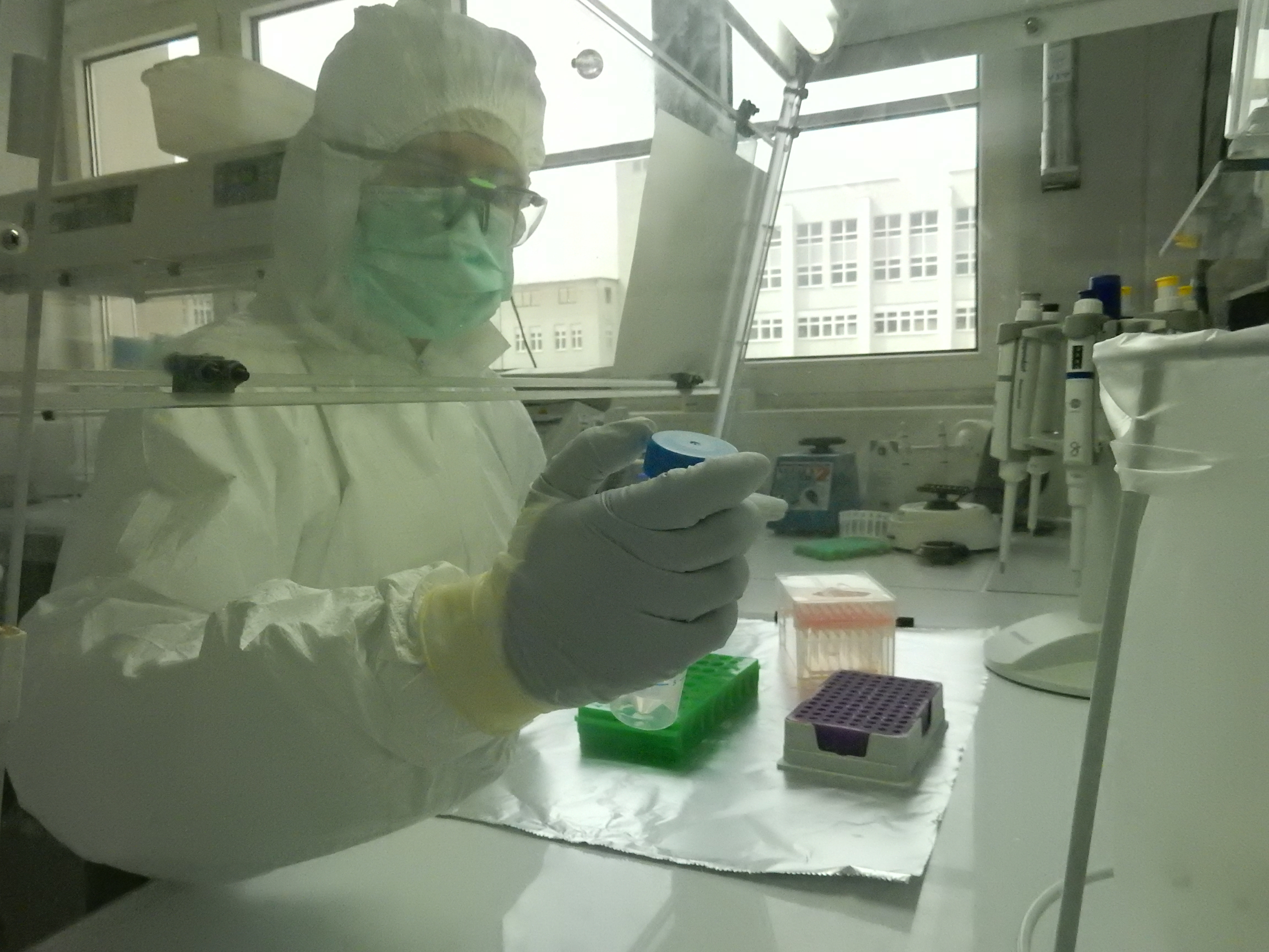 Tracing the history of the second plague pandemic through ancient DNA