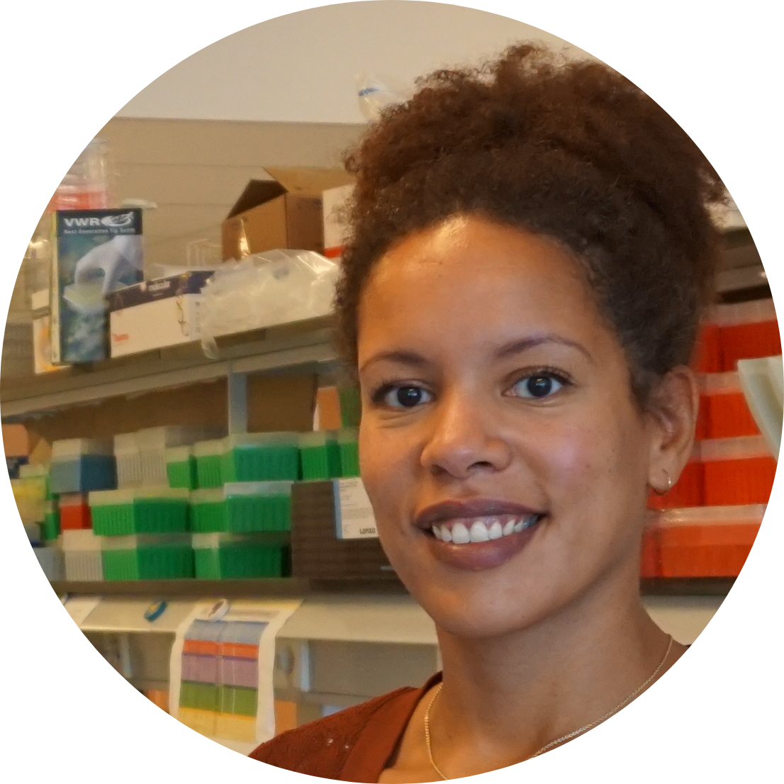 Go to the profile of Paula Voabil