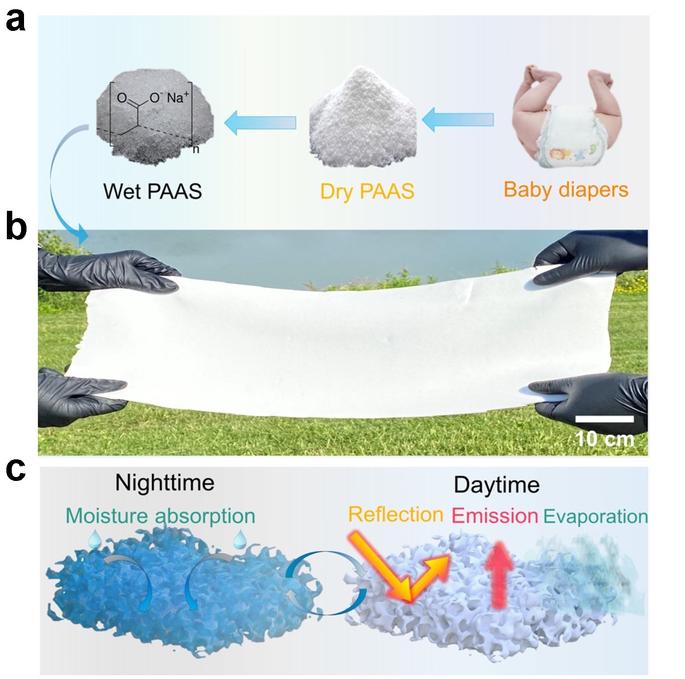 from-baby-diapers-to-photonic-hydrogel-a-cool-journey-of-discovery