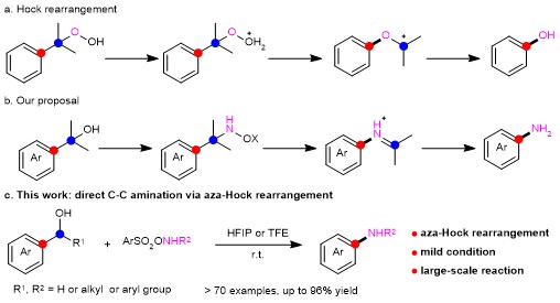 Hydroxylamine-Mediated C-C Amination via an Aza-Hock Rearrangement ...